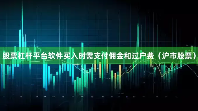 股票杠杆平台软件买入时需支付佣金和过户费（沪市股票）