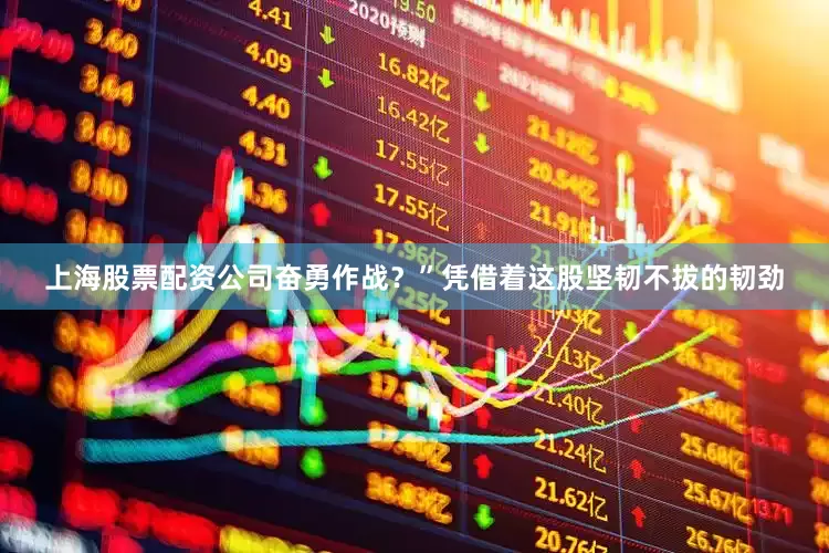 上海股票配资公司奋勇作战？”凭借着这股坚韧不拔的韧劲