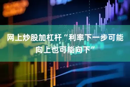 网上炒股加杠杆“利率下一步可能向上也可能向下”