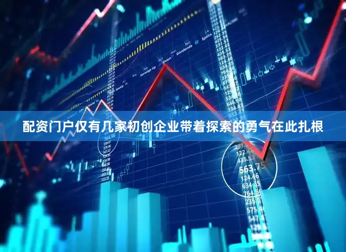 配资门户仅有几家初创企业带着探索的勇气在此扎根